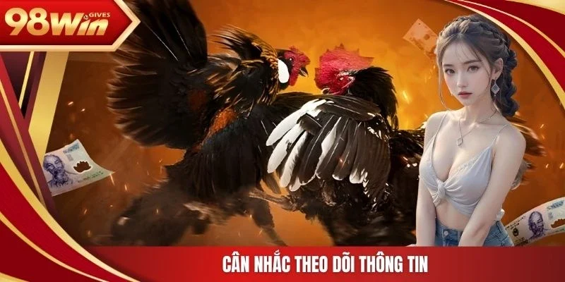 98win WS168 Cân nhắc theo dõi thông tin